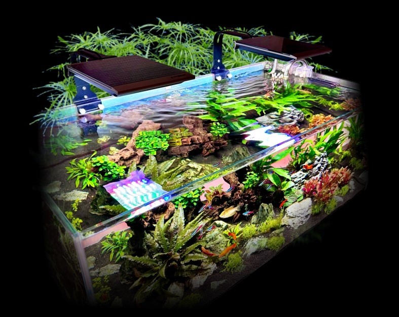 Professionelle Meerwasserbeleuchtung Zoo Beleuchtung