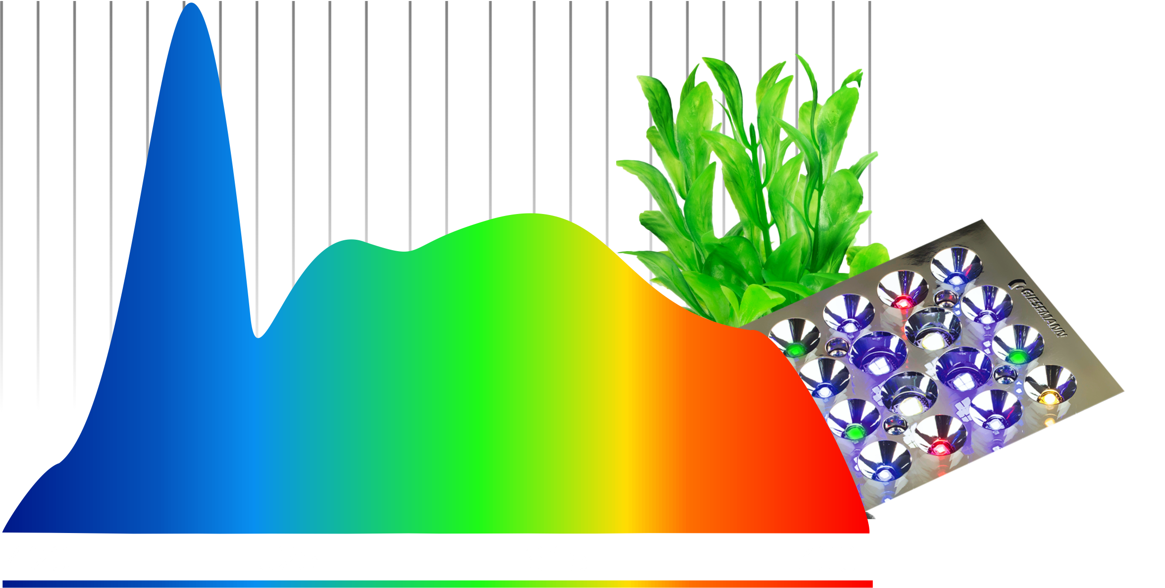 Farbspektrum tropic